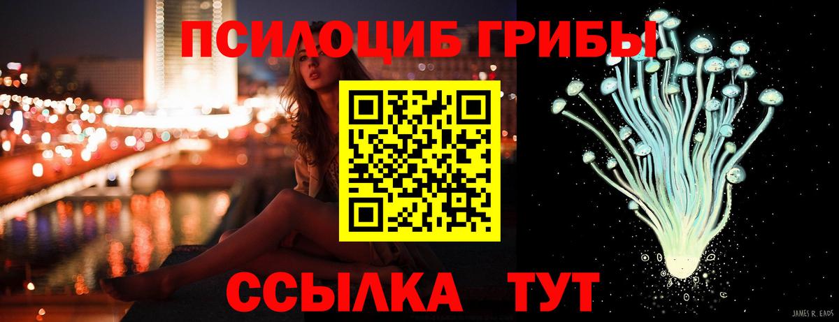 Галлюциногенные грибы GOLDEN TEACHER  Вход с VPN  где купить наркоту  Псилоцибиновые грибы Cubensis  Берёзовский 
